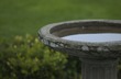 6-Year-Old Boy Killed By Concrete Bird Bath