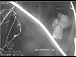 Burglar in Bel Air Hills Caught on Tape