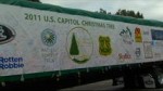 Capitol Holiday Tree on Display at Autry