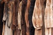 West Hollywood Bans Fur Sales, Animals Rejoice