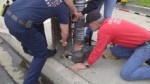 Trapped Kitten Rescued From Pipe