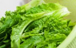 Irwindale Company’s Bagged Salad Recalled