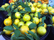 Seasonal Eats: Marvelous Meyer Lemons