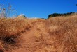 Hiker and Dog Rescued After Tumbling 150 Feet Down Steep Cliff in Valley