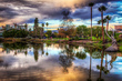 The New York Times Discovers This Crazy Place Called the La Brea Tar Pits