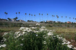 22nd Street Park: San Pedro’s Newest Outdoor Space