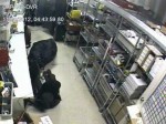 Duffel Bag Bandits Hit Phone Store Twice, Caught On Tape NR12543pv