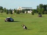 Raw: Police Chase Winds Up on ND Golf Course