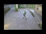 Burglars Ransack and Steal-On Camera NR15005jr